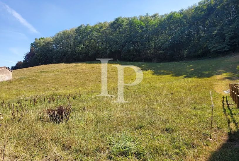  Vente Terrain à bâtir - 9 917m² à La Clayette (71800) 