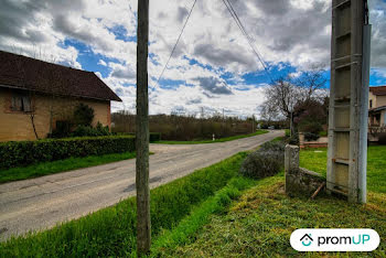 terrain à Larrazet (82)