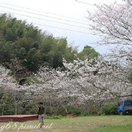 南庄高山青農場