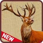 Cover Image of Download Stag Hunting 3D 1.5 APK