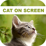 Cover Image of ダウンロード Funny Cat Walks On Phone Screen: Cute Joke 1.2 APK