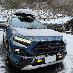 RAV4 AXAH54