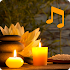 Spa music and relax music. Spa relaxation5.0.1-40062