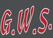 G W S Window Systems Logo