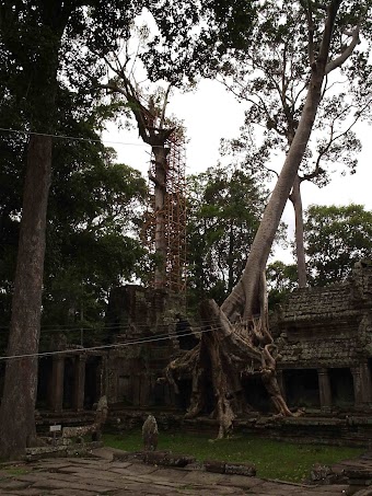 VIAJE POR CAMBOYA Y VIETNAM - Blogs de Asia Sudeste - SIEM REAP: A LAS PUERTAS DE ANGKOR (13)