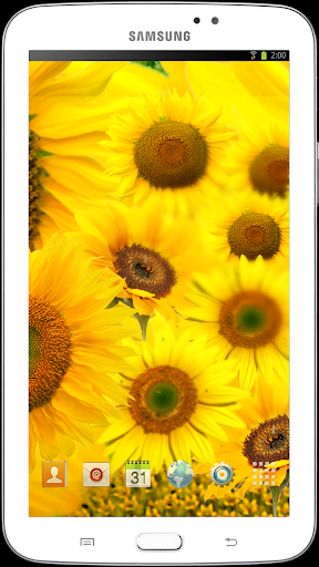 免費下載媒體與影片APP|Sun flower dance LWP HD app開箱文|APP開箱王
