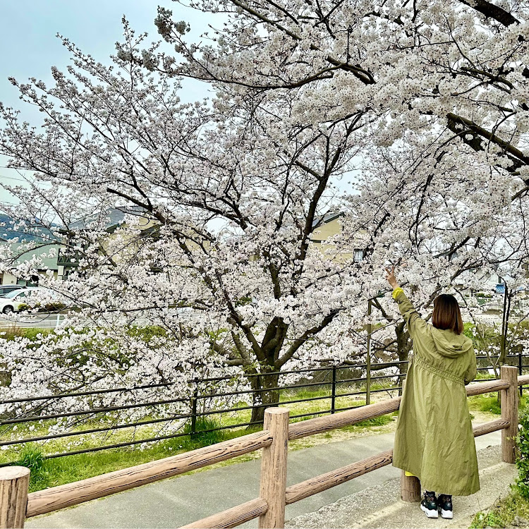 の投稿画像9枚目