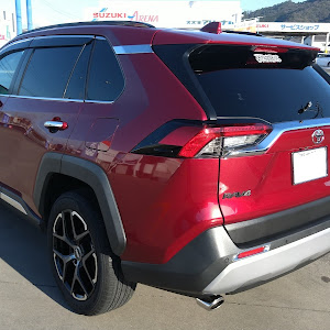 RAV4 MXAA54