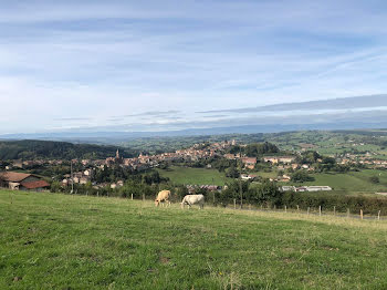 terrain à Marnand (69)