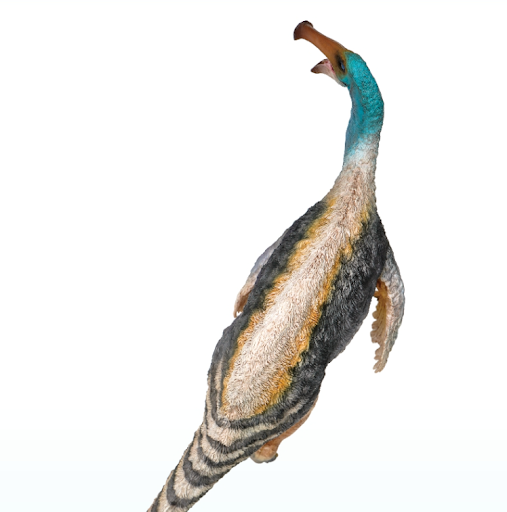 Title 6, Jacques Dinosaur King Growth Company Model — En...