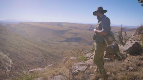 Texas Aoudad thumbnail