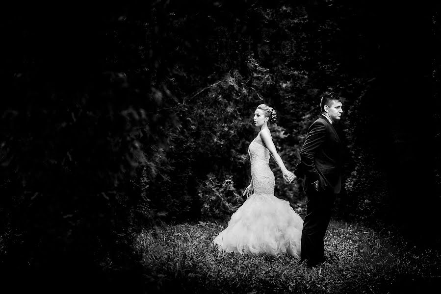 Photographe de mariage Marius Marcoci (mariusmarcoci). Photo du 22 février 2016