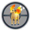 Ponyta