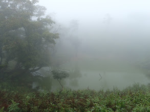 霧の中の池