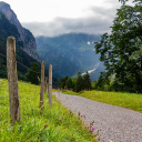 Fences and gravel roads