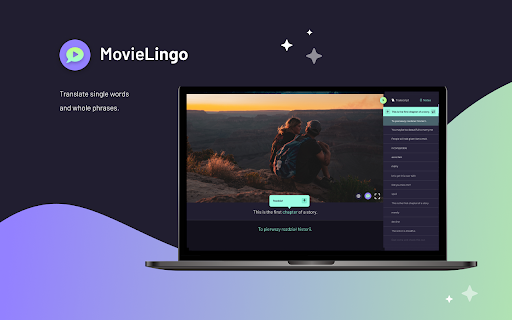 MovieLingo: Learn languages with Netflix