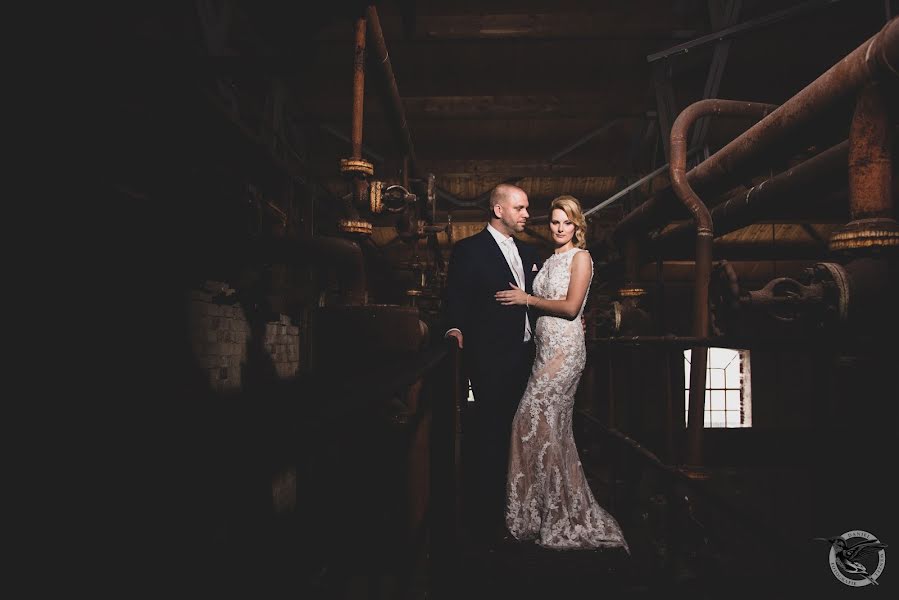 Photographe de mariage Daniel Wenzel (wenzel). Photo du 6 mars 2019