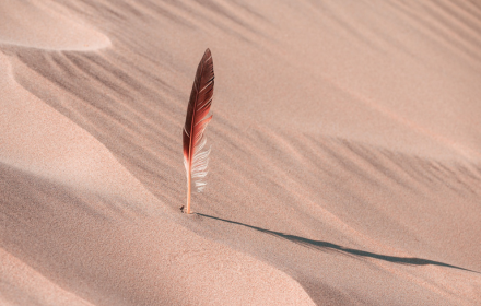 Feathers on the sand small promo image