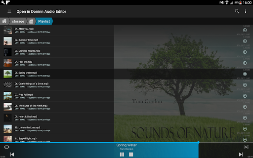 Doninn Audio Editor