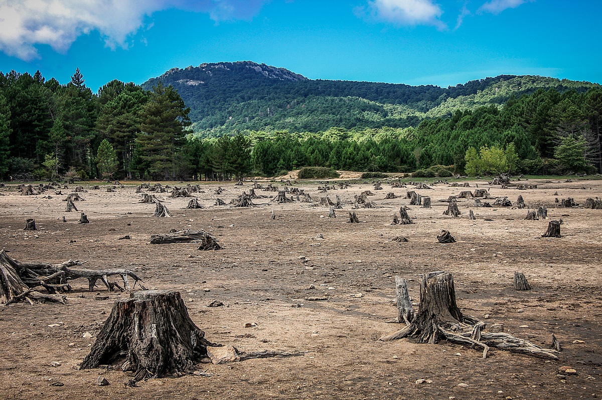 Apocalypse di marchiriccardo