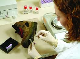 Image result for forensic scientist