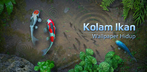 Wallpaper Hidup Kolam Ikan Koi Aplikasi di Google Play