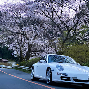 911 クーペ 997