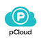 Item logo image for pCloud Save