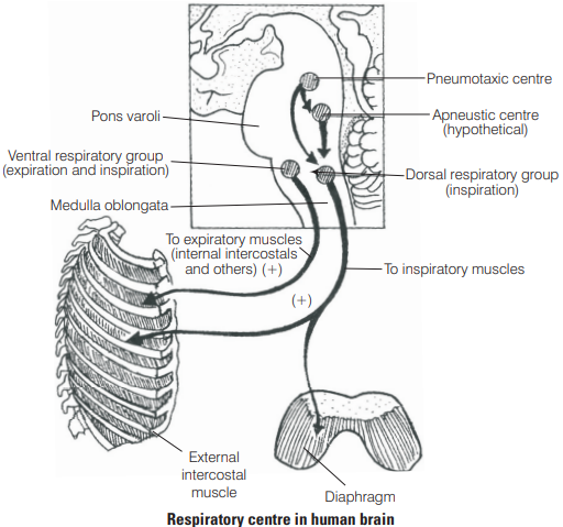 Solution Image