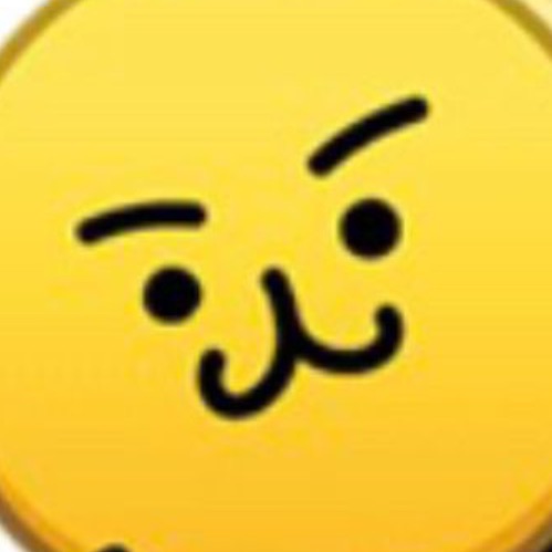 猫( '-'  )(影/かげ)