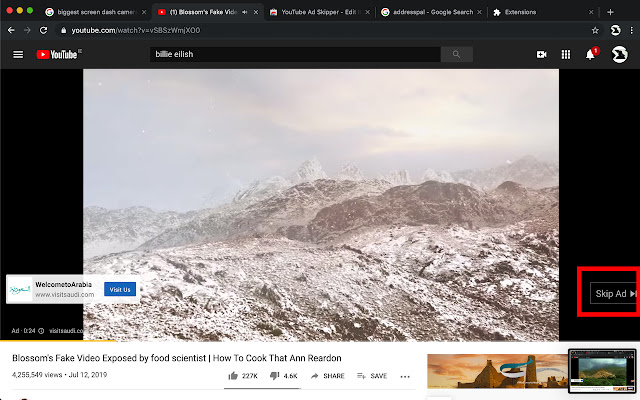 YouTube Ad Skipper