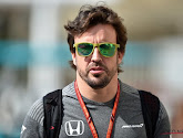 Ongeruste Fernando Alonso: "Ik had geen zin om te vragen wat er aan de hand was bij de auto van Stoffel"