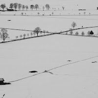 Foglio di neve di 