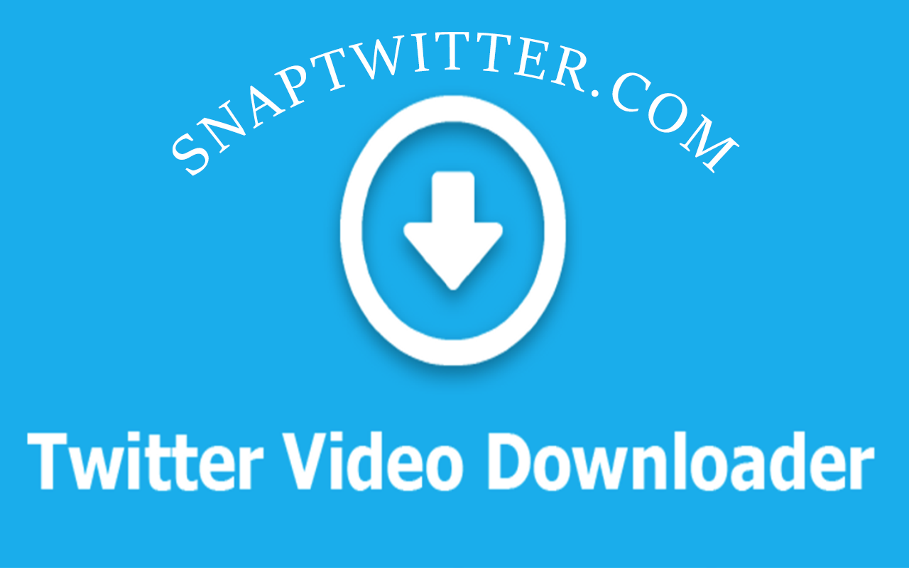 SnapTwitter: Twitter Video Download Preview image 0