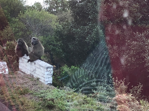 Cape Point South Africa 2018