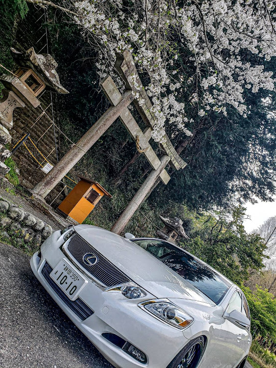 GSの桜とコラボ・TS-Z900PRS・春ドレ・ピックアップに選ばれたいに関するカスタム事例の投稿画像1枚目