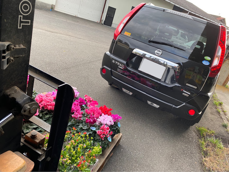 エクストレイルのシクラメン・いい香りに関するカスタム事例の投稿画像1枚目