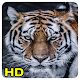 tiger wallpapers Download on Windows