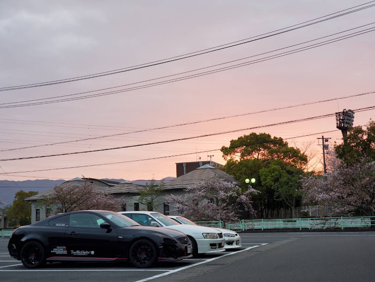 スカイラインクーペのお疲れ様でした。・洗車、弄り、井戸端会議・桜🌸終了のおしらせ😭・ゆずちゃん・おやすみなさいに関するカスタム事例の投稿画像14枚目