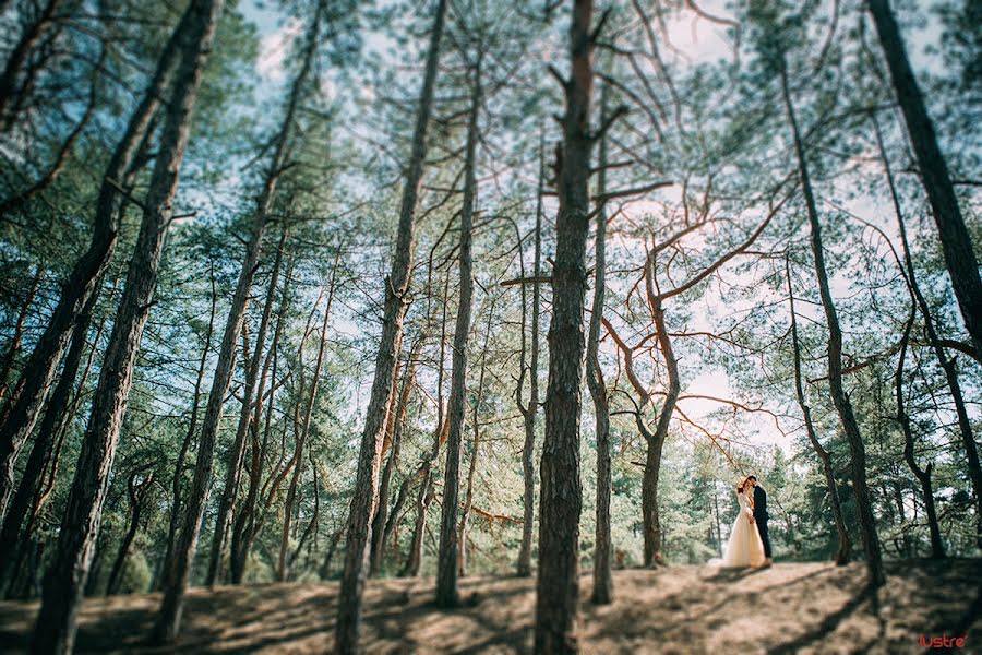 Fotógrafo de bodas Igor Dekha (lustre). Foto del 6 de abril 2016