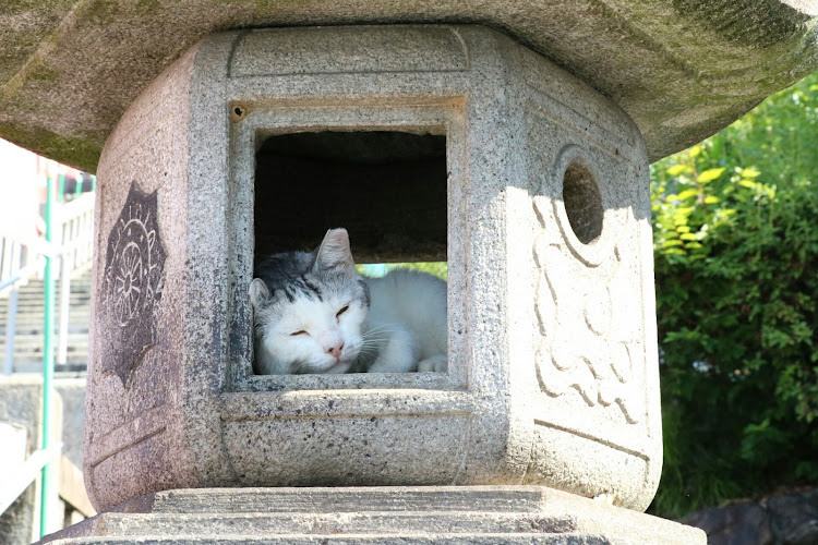 TT クーペの犬山成田山・灯篭のなかにに関するカスタム事例の投稿画像10枚目