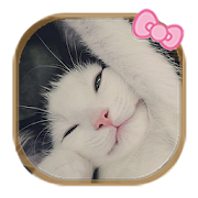 Cute cat theme 1.1.1 Icon