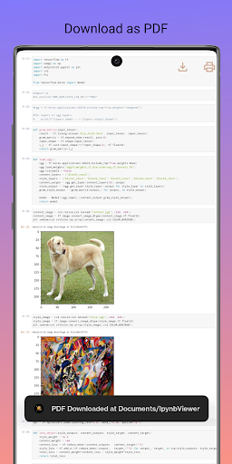 Screenshot Ipynb Viewer Pro