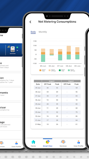 Screenshot IESCO Smart