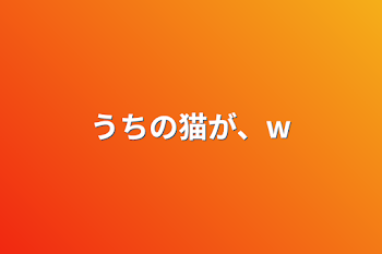 「うちの猫が、w」のメインビジュアル