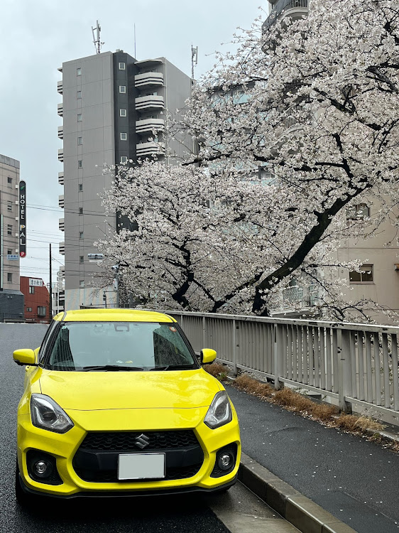 スイフトスポーツのこの寒さ、なんなん🥶・サクラ活🌸・4月から出勤時間変わります・洗車も出来ず・体調管理大変〜😓に関するカスタム事例の投稿画像7枚目
