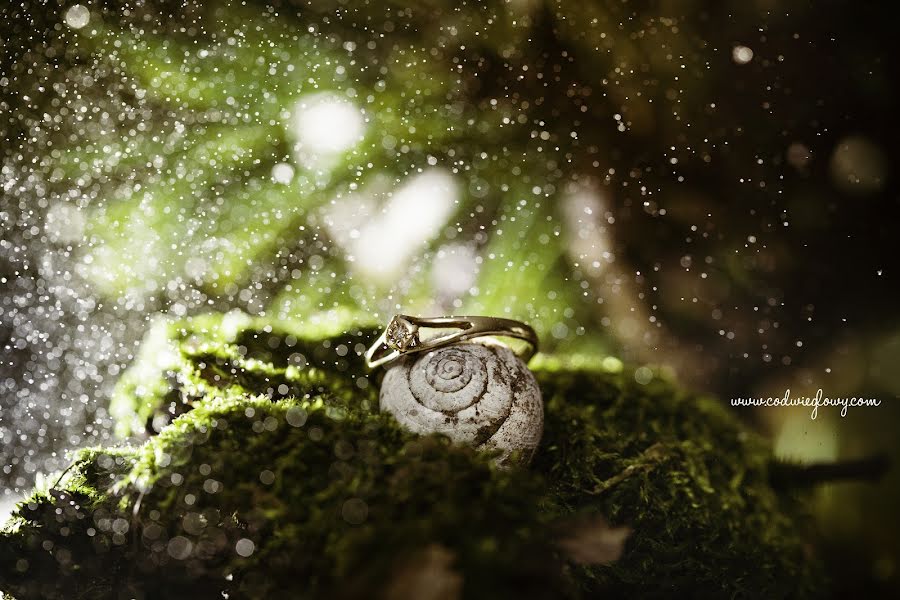 Fotógrafo de casamento Marcin Gruszka (gruszka). Foto de 10 de fevereiro 2016