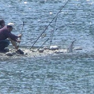 名流水岸慢食藝術館