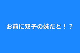 お前に双子の妹だと！？