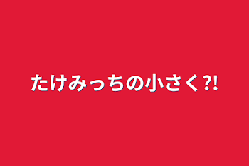 たけみっちの小さく?!